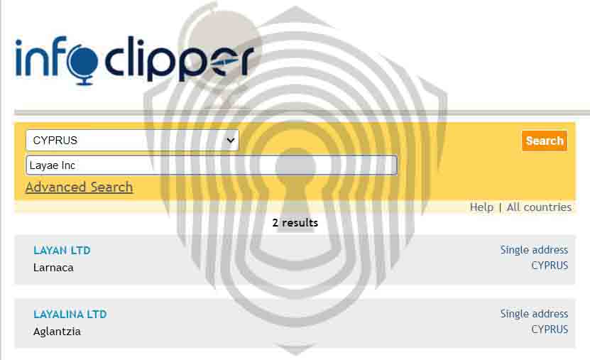 Результат поиска компании LayaeInc в базе юридических лиц Кипра