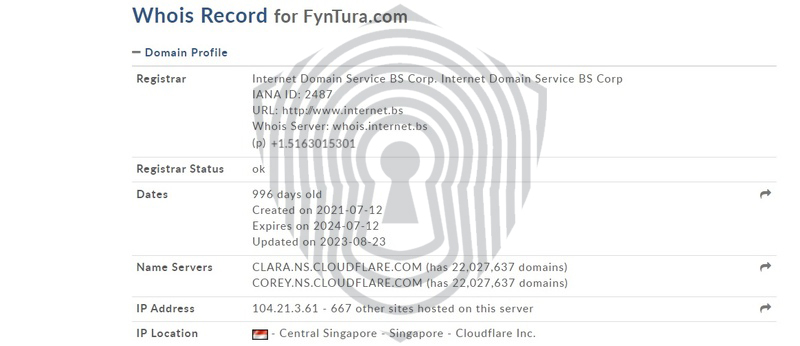 данные о регистрации домена мошенников Fyntura