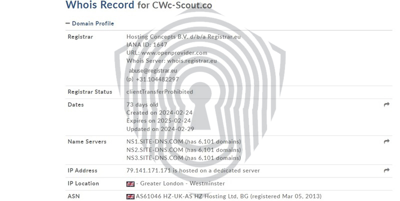 Проверка домена брокера CWC SCout через Whois.