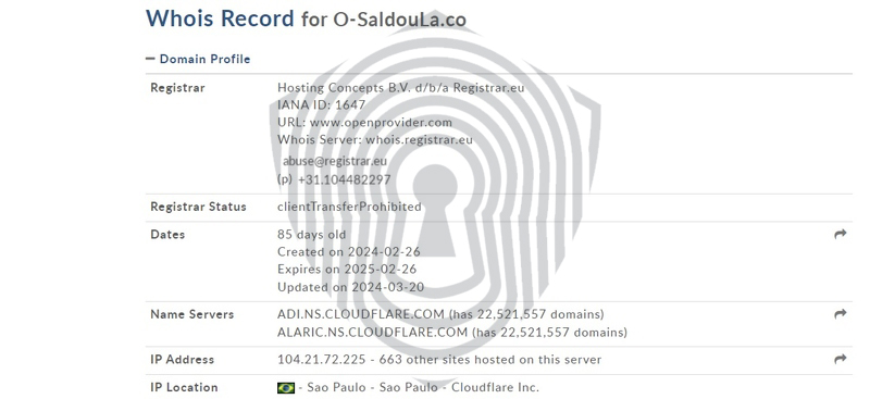 Дата регистрации домена O Saldoula: март 2024 года