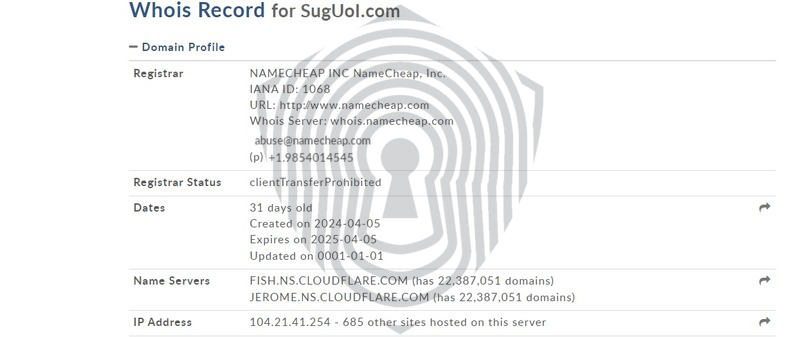 Скриншот данных регистрации домена SUGuoi.