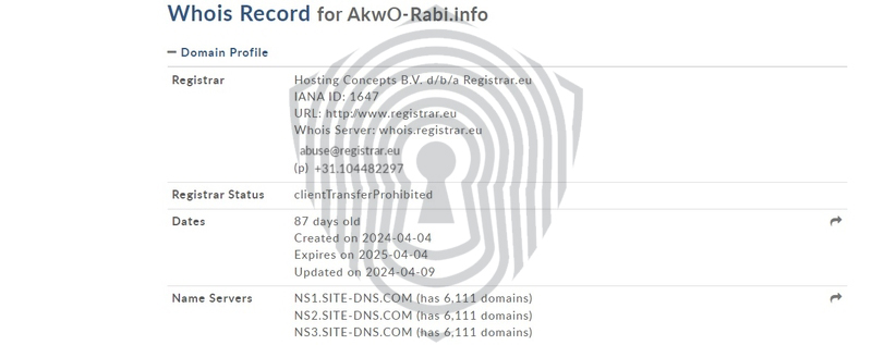 возраст домена akworabi.com – зарегистрирован в апреле 2024 года