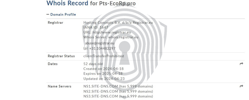 Домены брокера PTS Ecorp зарегистрированы только в 2024 году