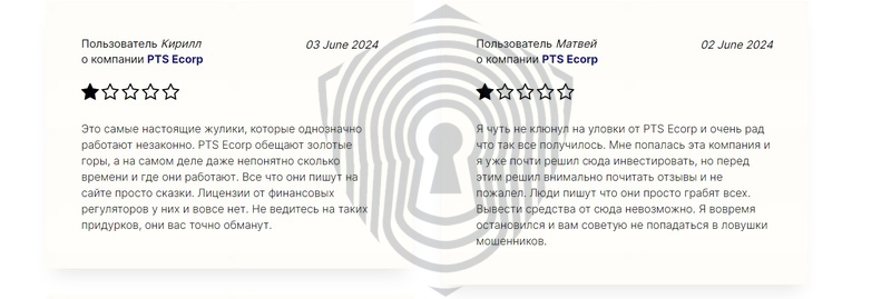 Трейдеры делятся негативным опытом работы с PTS Ecorp