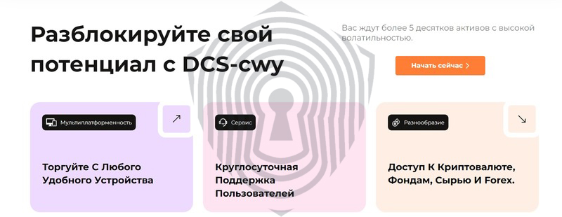 Брокер мошенник DCS-cwy