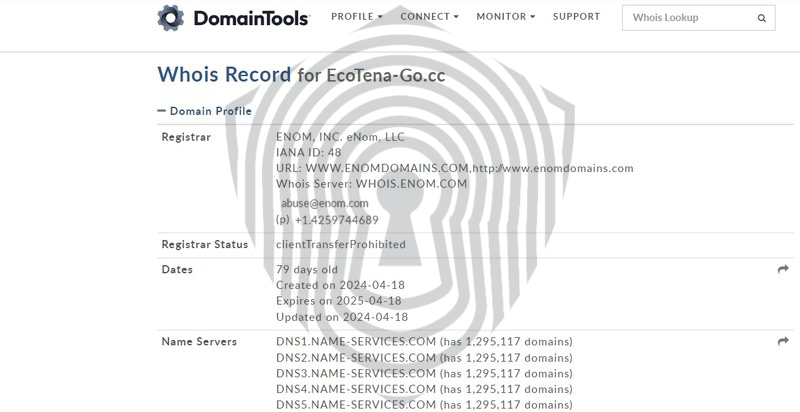 Проверка домена брокера Ecotenago в сервисе WhoIs.